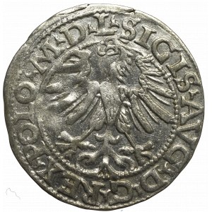 Sigismund II Augustus, Halfgroat 1565, Vilnius - L/LITV