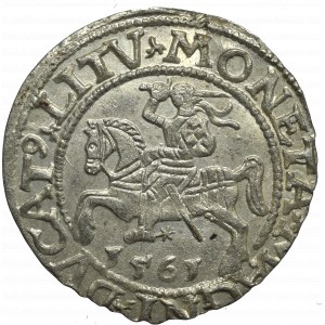 Sigismund II Augustus, Halfgroat 1565, Vilnius