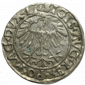 Sigismund II Augustus, Halfgroat 1556, Vilnius