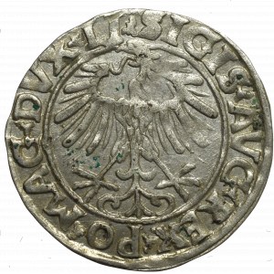 Zygmunt II August, Półgrosz 1556, Wilno - LI/LITVA
