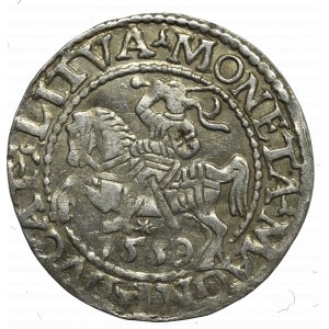 Zygmunt II August, Półgrosz 1559, Wilno - L/LITVA