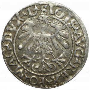 Sigismund II Augustus, Halfgroat 1559, Vilnius