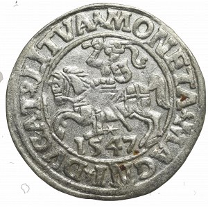 Sigismund II Augustus, Halfgroat 1547, Vilnius