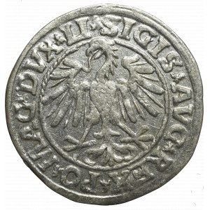 Sigismund II Augustus, Halfgroat 1547, Vilnius