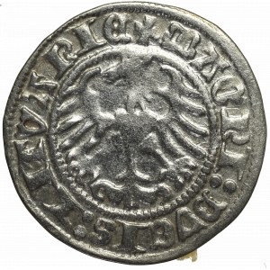 Sigismund I the Old, Halfgroat 1513, Vilnius