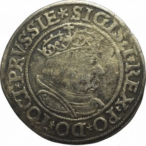 Zygmunt I Stary, Grosz dla ziem pruskich 1534, Toruń - PRVSS/PRVSSIE