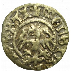 John I Olbracht, Halfgroat without date, Cracow