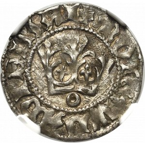 Vladislaus II, halfgroat - NGC MS63