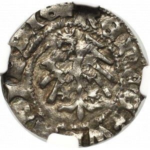 Vladislaus II, halfgroat - NGC MS63