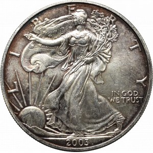 USA, Dolar 2003 - uncja srebra