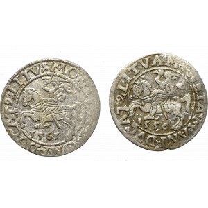 Sigismund II Augustus, Lot of halfgroats