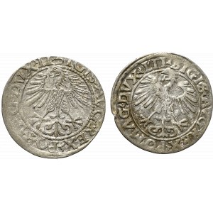 Zygmunt II August, Zestaw półgroszy 1556 i 1561