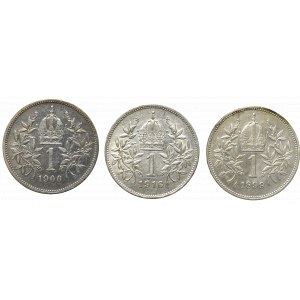 Austro-Węgry, Zestaw 1 korona