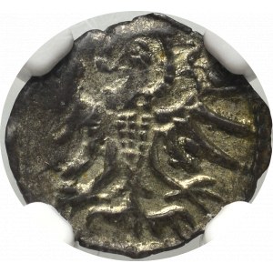 Sigismund II Augustus, Denarius 1555, Danzig - NGC MS61