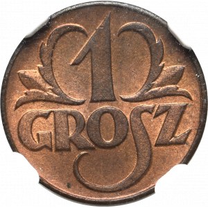 II Republic of Poland, 1 groschen 1923 - NGC MS64 RB