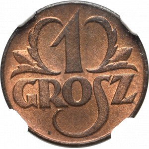 II Rzeczpospolita, 1 grosz 1923 - NGC MS64 RB
