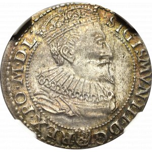 Zygmunt III Waza, Szóstak 1596, Malbork - mała głowa NGC AU58