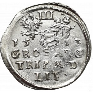 Stephan Bathory, 3 groschen 1583, Vilnius