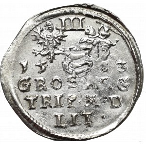 Stefan Batory, Trojak 1583, Wilno - Leliwa pod popiersiem - MENNICZY