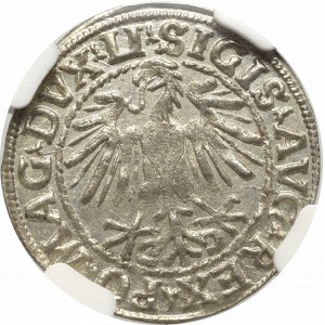 Sigismund II Augustus, Halfgroat 1548, Vilnius - LI/LITVA NGC MS64