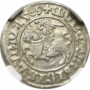 Sigismund I the Old, Halfgroat 1509, Vilnius - NGC MS61