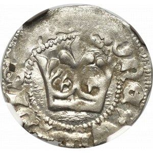 Vladislaus II, halfgroat - NGC MS61