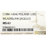 Władysław II Jagiełło, Półgrosz bez znaków, Kraków - NGC MS61