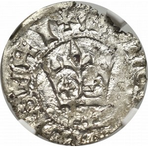 Vladislaus II Jagello, Halfgroat without date, Cracow - NGC MS62