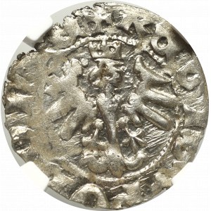 Vladislaus II Jagello, Halfgroat without date, Cracow - NGC MS62