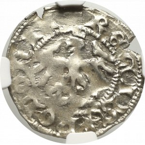 Vladislaus II, halfgroat - NGC AU58