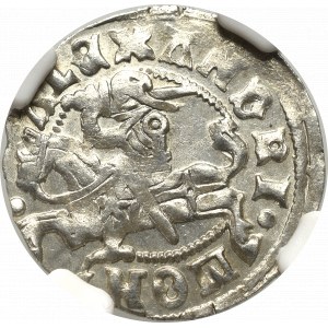 Alexander Jagellon, Halfgroat without date, Vilnius - NGC MS64