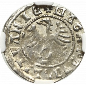 Alexander Jagellon, Halfgroat without date, Vilnius - NGC MS61