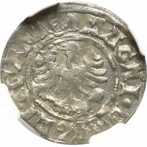 Alexander Jagellon, Halfgroat without date, Vilnius - NGC MS61