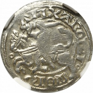 Alexander Jagellon, Halfgroat without date, Vilnius - NGC AU58