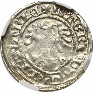 Alexander Jagellon, Halfgroat without date, Vilnius - NGC AU58