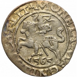 Sigismund II Augustus, Halfgroat 1565, Vilnius - L/LIT