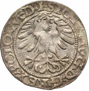 Zygmunt II August, Półgrosz 1565, Wilno - L/LIT