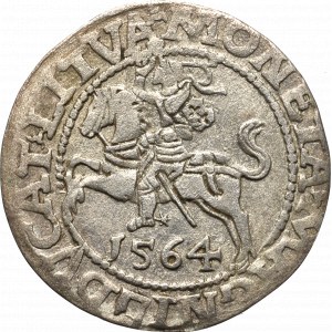 Sigismund II Augustus, Half-groat 1564, Vilnius, L/LITVA