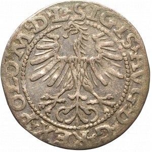 Sigismund II Augustus, Half-groat 1564, Vilnius, L/LITVA