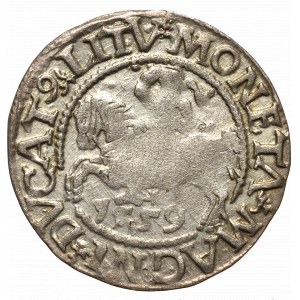 Sigismund II Augustus, Halfgroat 1559, Vilnius