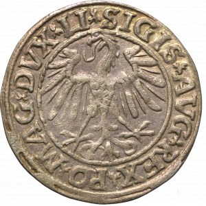 Zygmunt II August, Półgrosz 1547, Wilno - LI/LITVA
