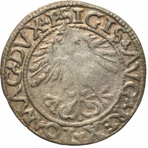 Sigismund II Augustus, Halfgroat 1562, Vilnius