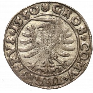 Zygmunt I Stary, Grosz dla ziem pruskich 1530, Toruń - PRV/PRVS