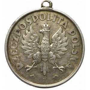 II RP, Medal 3 maja 1925