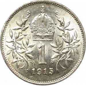 Austria, 1 corona 1915