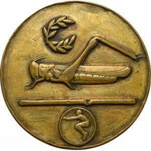 II RP, Medal nagrodowy I miejsce Pięciobój Przysposobienia Wojskowego 1927