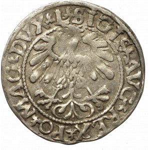 Sigismund II Augustus, Halfgroat 1559, Vilnius