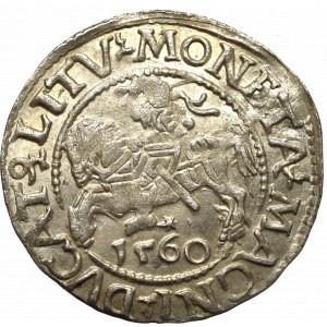 Sigismund II Augustus, Halfgroat 1560, Vilnius - L/LITV