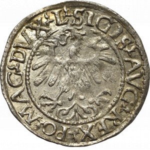 Sigismund II Augustus, Halfgroat 1560, Vilnius - L/LITV