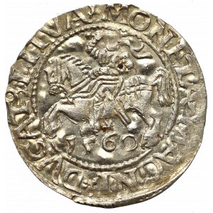 Sigismund II Augustus, Halfgroat 1560, Vilnius - L/LITVA